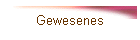 Gewesenes